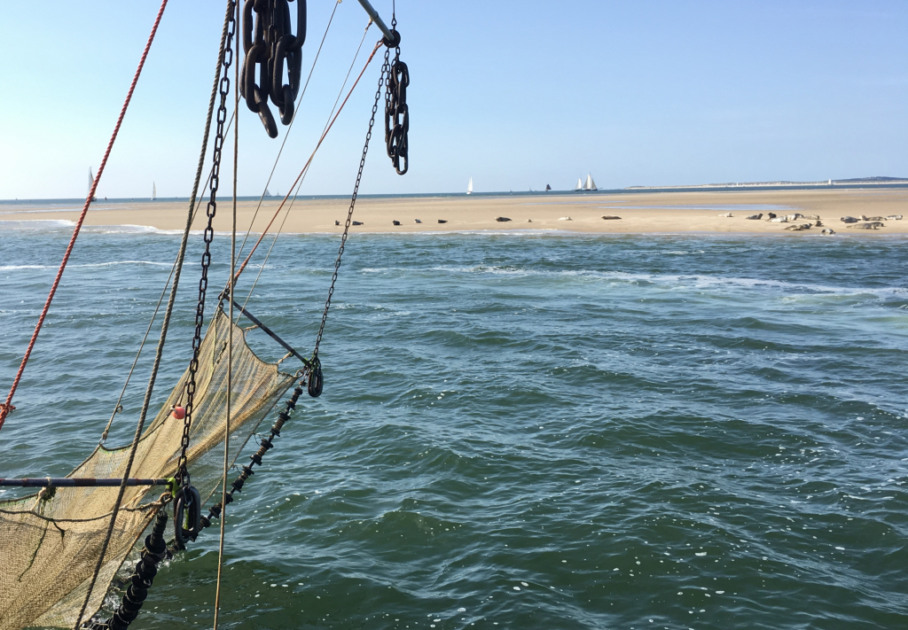 Bedrijfsuitje zeilen Wadden